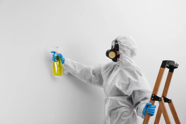 Best Biohazard Mold Removal in Rson, CA